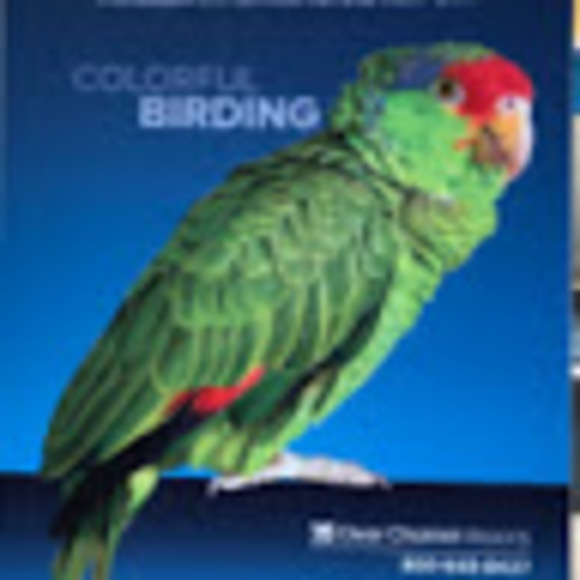 Meet your Posher, Norma - Picture 1 of 1